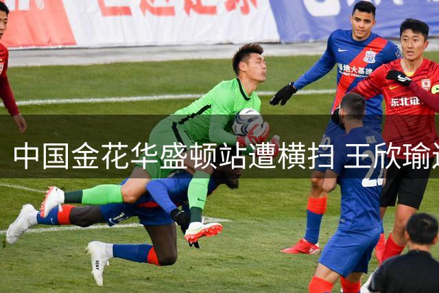 中国金花华盛顿站遭横扫 王欣瑜连丢两盘不敌俄罗猛女